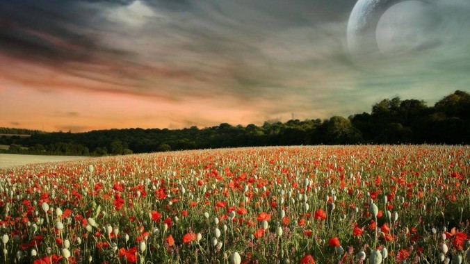 为什么女生要做大部分家务?